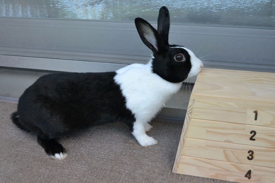 210905 itoDSC_2692 (2)