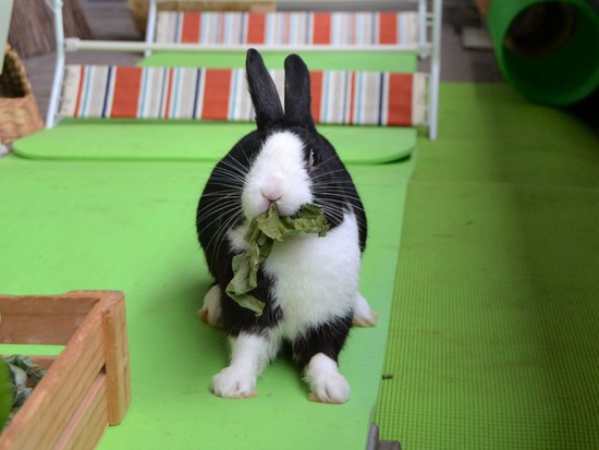 210920 obi DSC_2405 (2)