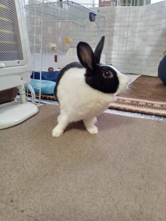 1708759371908_20240224162436