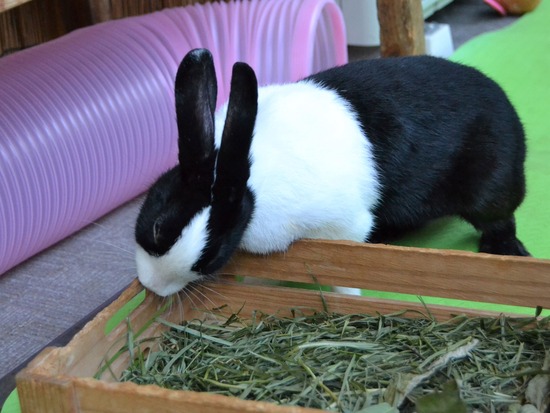 210920 okki DSC_2520 (2)