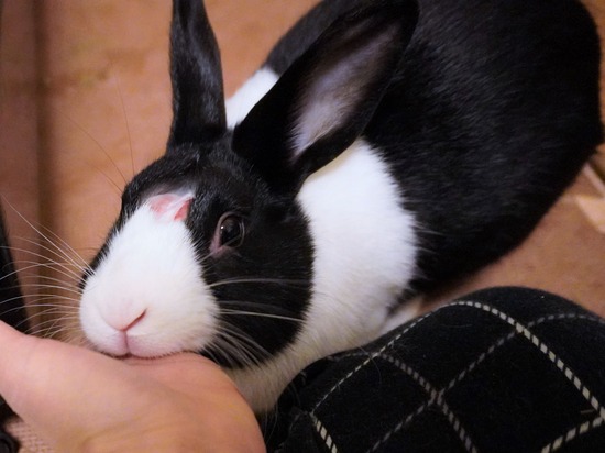 221230げんDSC04246