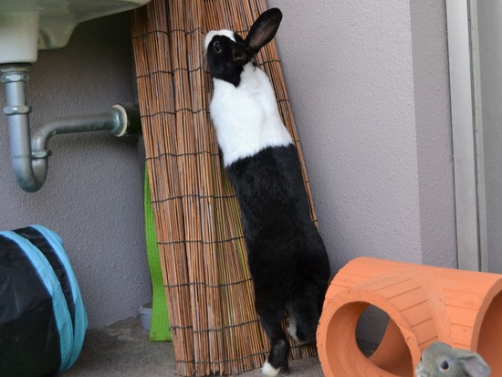 211205 komaDSC_1942 (2)