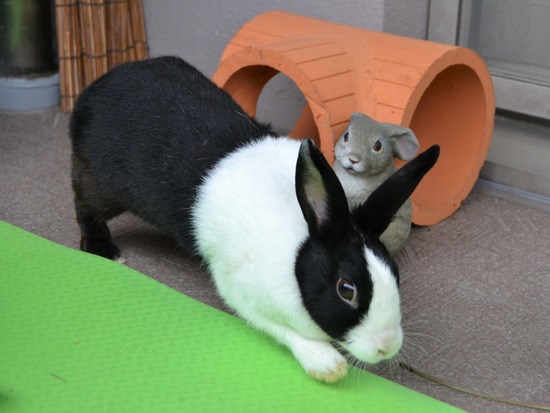 210905 おっきDSC_2328 (2)