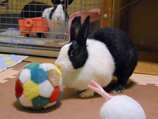 210815 おっきDSC_2302 (2)