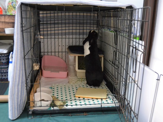 211107 b2 DSC_1551 (2)