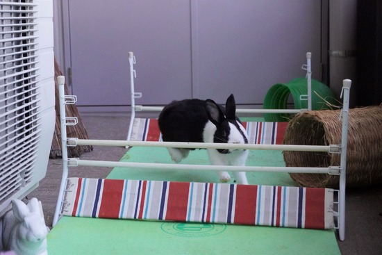 20230503げんDSC08864