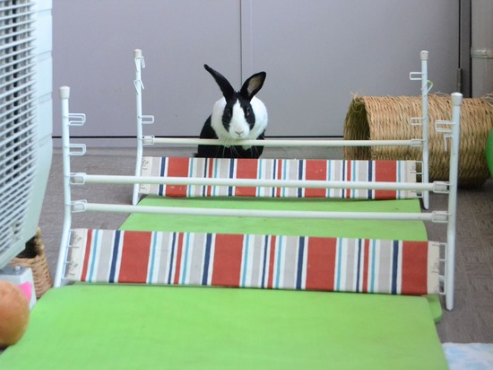 210920 koma DSC_2434 (2)