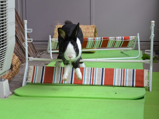 210912 obi DSC_2731 (2)