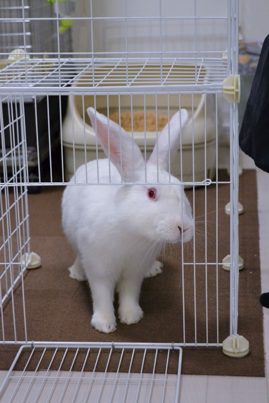 210828 ミルクDSC_2069 (2)