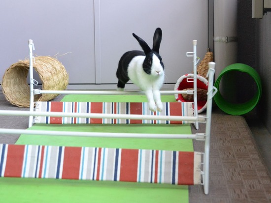 211123 komaDSC_1468 (2)