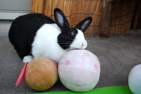 20231001あいDSC03304