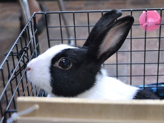 210821 おっきDSC_2093 (2)