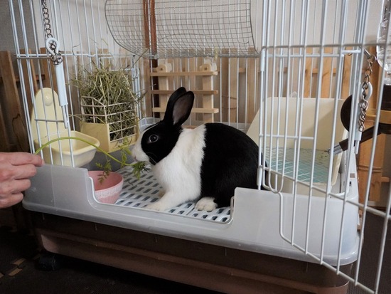 220205クッキーDSC05337 (2)