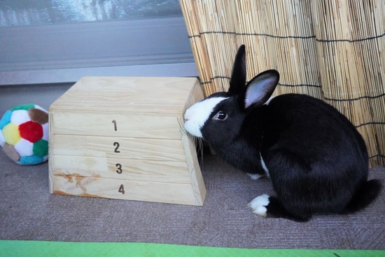 220129ビスケDSC04780 (2)