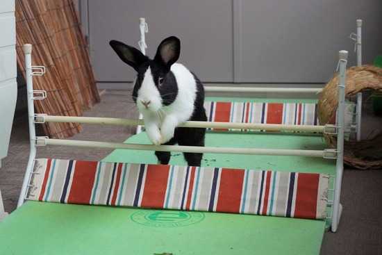 20230429げんDSC06865 (2)