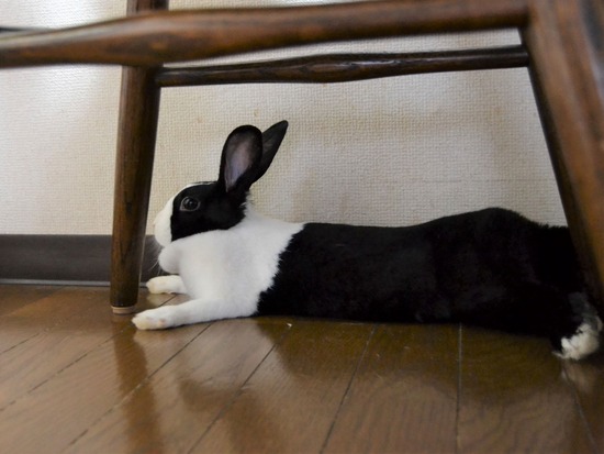 211120itoDSC_1378 (2)