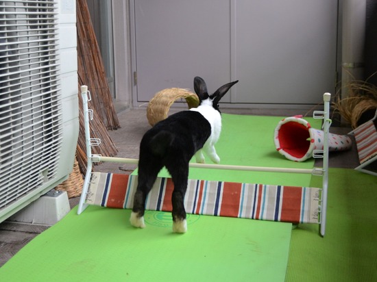 210905 こまDSC_2248 (2)