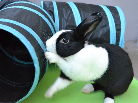 210920 b2 DSC_2066 (2)