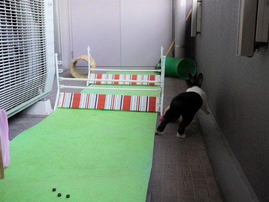 220129クッキーDSC04363 (2)