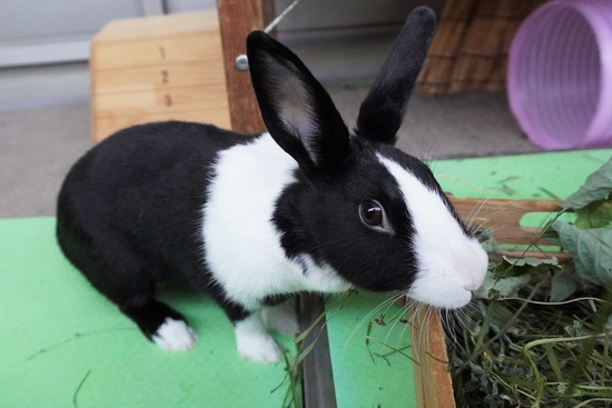 20230429みるDSC06801