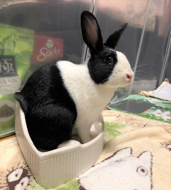 B3B32A28-CD66-4B4A-9E1A-55EC87DA8326 (2)