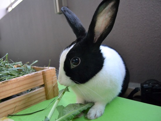 211205 komaDSC_1843 (2)