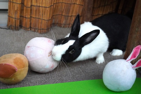 20231001あいDSC03279