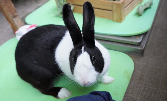 20230503くりDSC07556