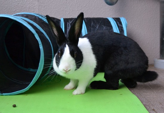 210905 itoDSC_0019 (2)