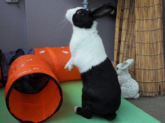 20230503くりDSC07569