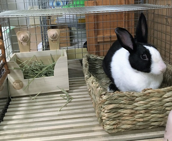 IMG_2024おっき おもち (2)