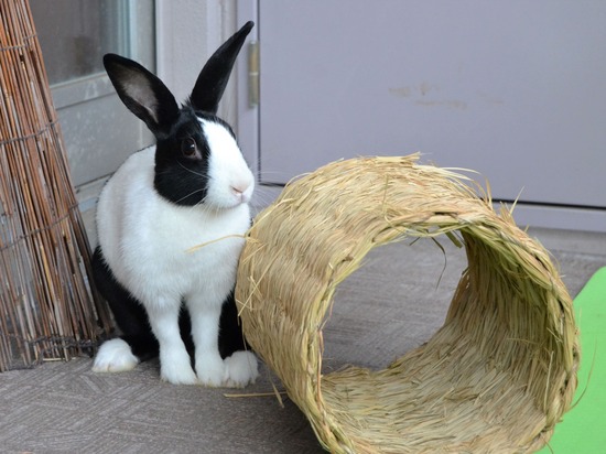 210905 こまDSC_2056 (2)