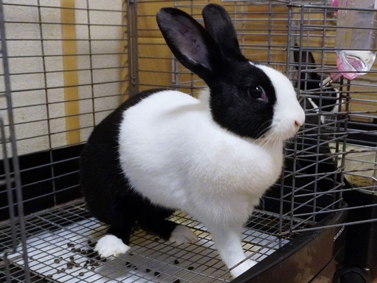 221230るりDSC04069