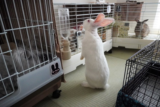 20230527RDSC00367 (2)