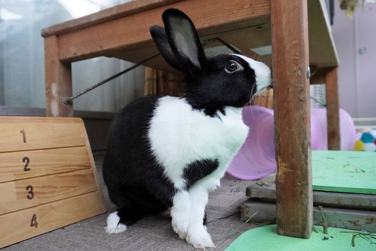 20230429みるDSC06862