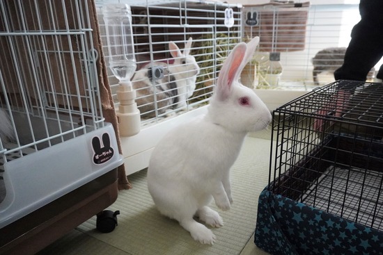 20230527RDSC00370 (2)