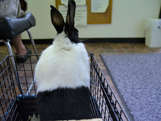 210821 おっきDSC_2089 (2)