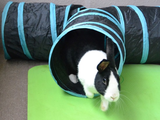 211205 komaDSC_1789 (2)