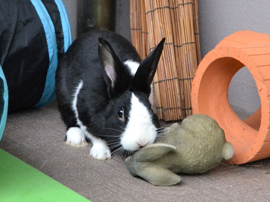 210912 bi2 DSC_0278 (2)