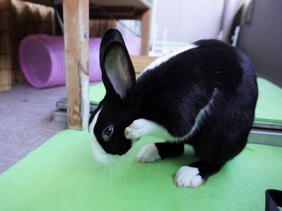 220212ビスケDSC05906 (2)