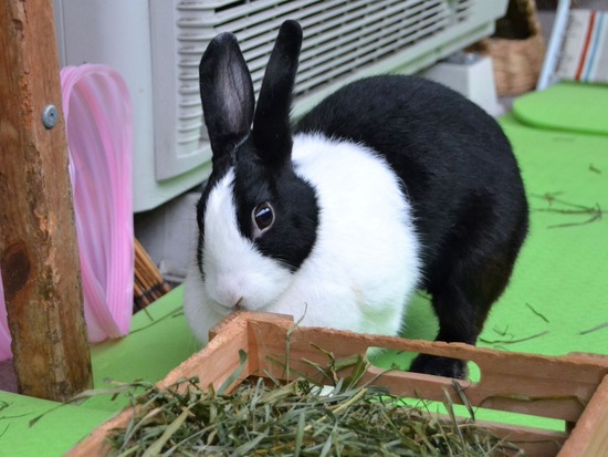 210912 okki DSC_0395 (2)