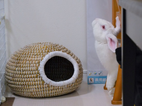 210828 ミルクDSC_2125 (2)