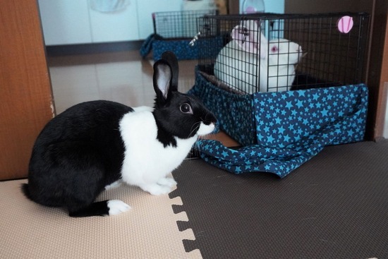 230311みつDSC05398 (2)