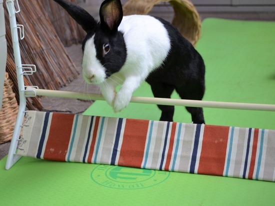 210905 こまDSC_2229 (2)