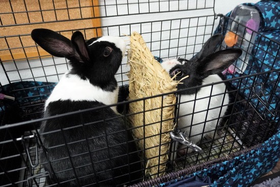 230114みる＆くりDSC04774