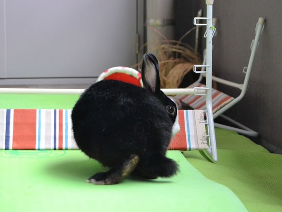 210905 おっきDSC_2361 (2)