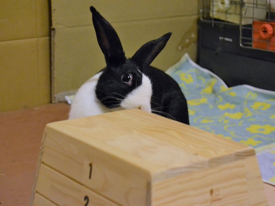 210815 たまDSC_2147 (2)