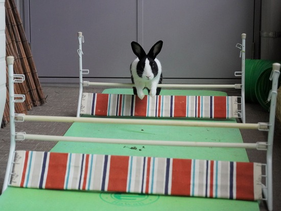 20230429あいDSC06558 (2)