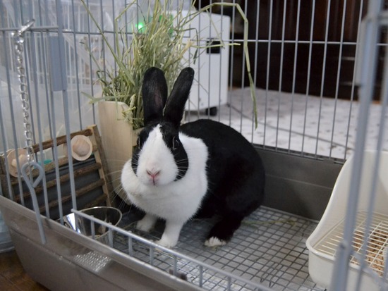 211120 itoDSC_1371 (2)