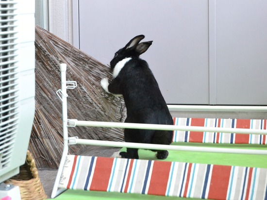 210920 obi DSC_2149 (2)